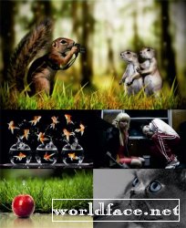 Best Mixed Wallpapers Pack 205-206