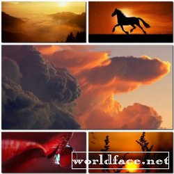 Nature Wallpapers Pack #60