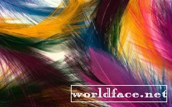 Colorful Feathers and Wings Wallpaper - 2012 /      - 2012