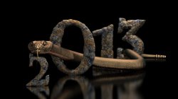Тест: Каким будет новый 2013 год для Вас?