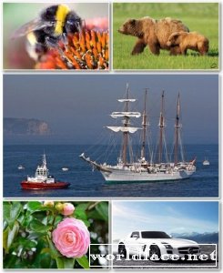 Best HD Wallpapers Pack 968