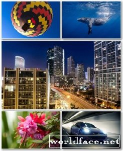 Best HD Wallpapers Pack 975