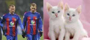 ЧМ-2014: Чем футболисты похожи на котов?